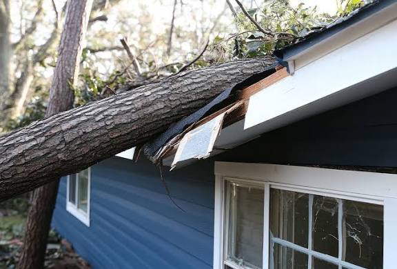 Storm Damage
